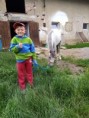 /album/fotogalerie5/vasik-jpg/